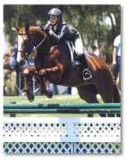 darkhorsefarm.com Czia