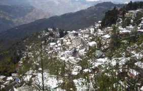 Daali