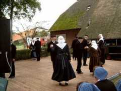 Daansen