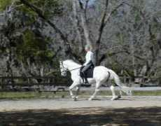 homeagainfarm.com Dacapo