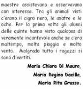 1cdgiarre.it Dacillo