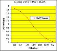 Dacv