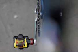 pedalroom.com Dadito