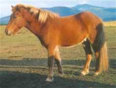 Dagur
