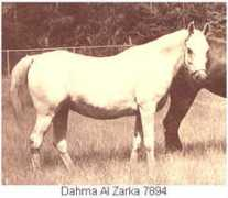 Dahma