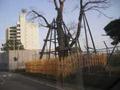 mukabaki.tripod.com Daiei