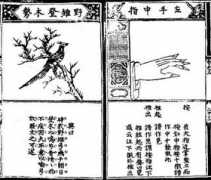 Daiqi