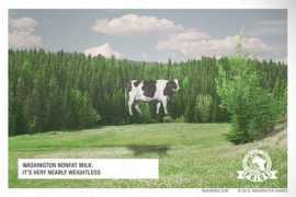 neilpalmerdesign.com Dairies