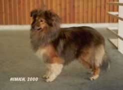 lfshelties.narod.ru Daity