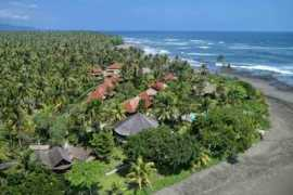 hostelscentral.com Dajuma