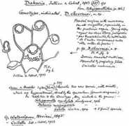 bryozoa.net Dakaria
