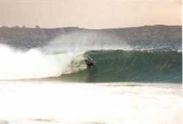 galakolors.free.fr Dalbos