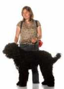 frenchwaterdog.org Dalexandre