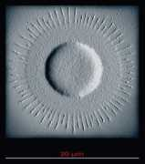 nanoscience.shef.ac.uk Dalnoki