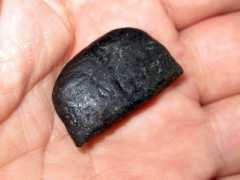 timesofisrael.com Dalone