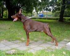 Daloris