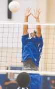 mauinews.com Dalut