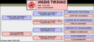 stutteri-bredgaard.dk Dalvar