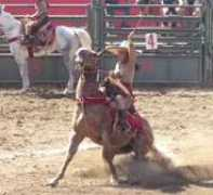mundocharro.com Damariz