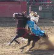 mundocharro.com Damariz