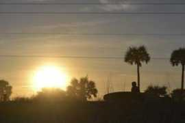 faithlineprotestants.org Damhorst