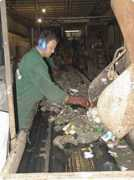 ecologic.rec.ro Damov