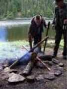 anglerpraxis.de Damrose