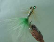 tourcanada.com Damsel