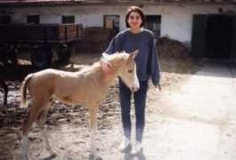 Danajka