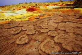 realadventures.com Danakil