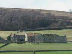 Danby