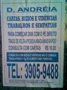 brunopinheiro.com.br Dandreia