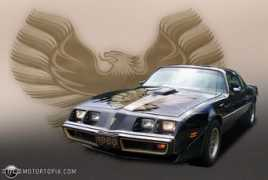 motortopia.com Danetti