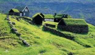 Daneze