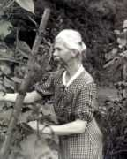 helene-gries-danican.de Danican