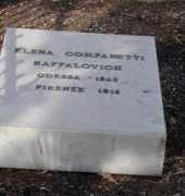 Danielovich