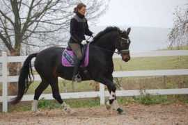 equitacion.cz Danilou