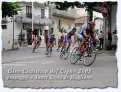 santacroceonline.com Danilus