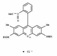 tjdanming.company.weiku.com Danming
