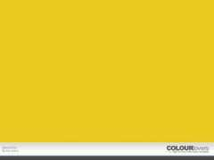 colourlovers.com Danonino