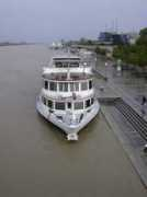 Danubio