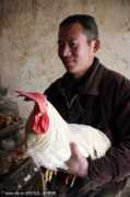 english.sina.com Daoxing