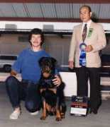 nighthawkrottweilers.com Daphanie