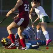 highschoolsports.pennlive.com Daphin