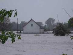 tygodnik7dni.pl Darami