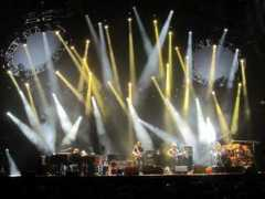 phishthoughts.com Darein