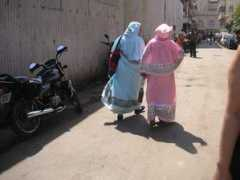 tintina.com Dargam