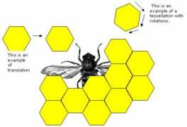 gwinnett.k12.ga.us Dariean