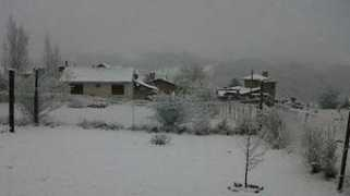 lavoz.com.ar Darios
