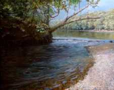 travisgallery.com Dariver